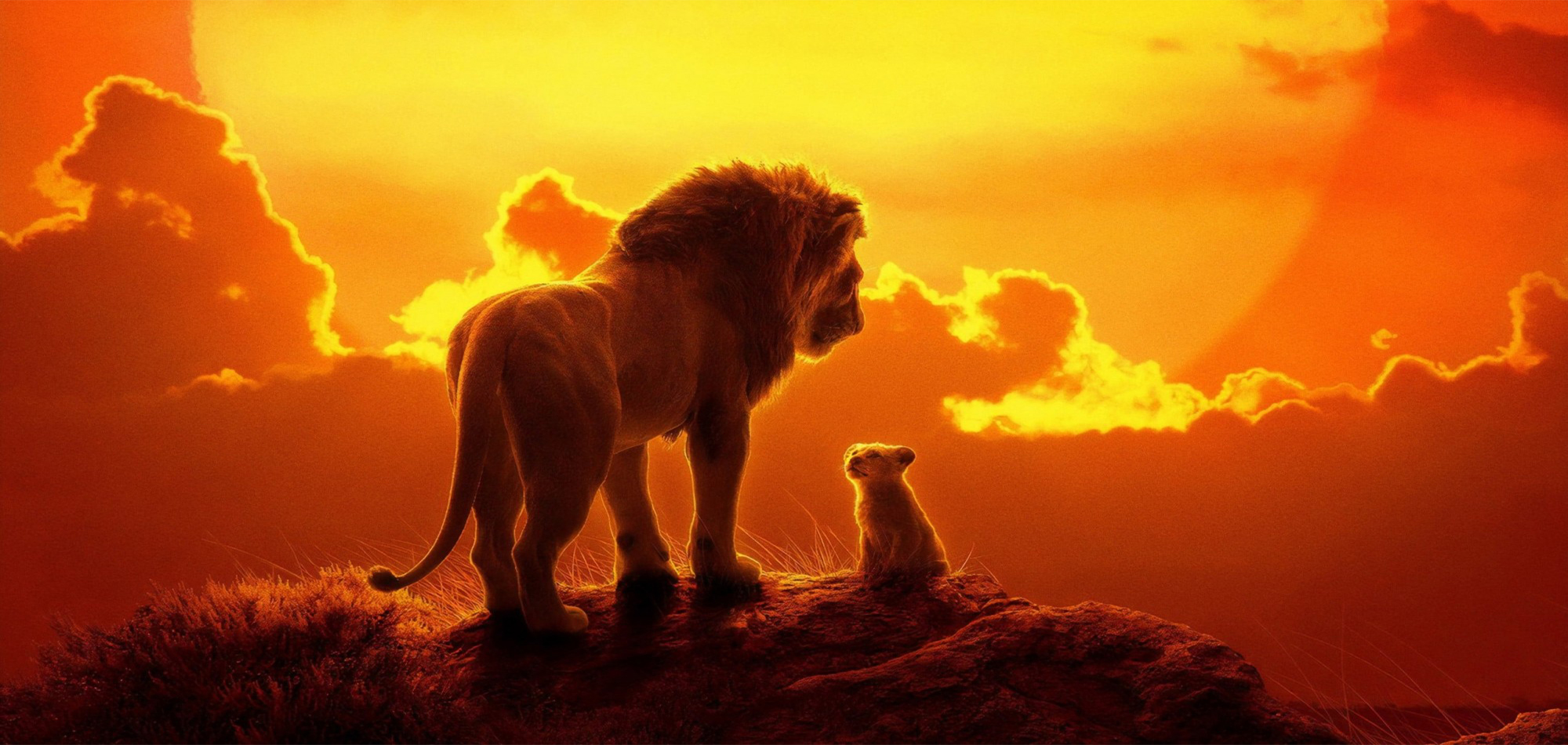 بررسی فیلم The Lion King - شیر شاه