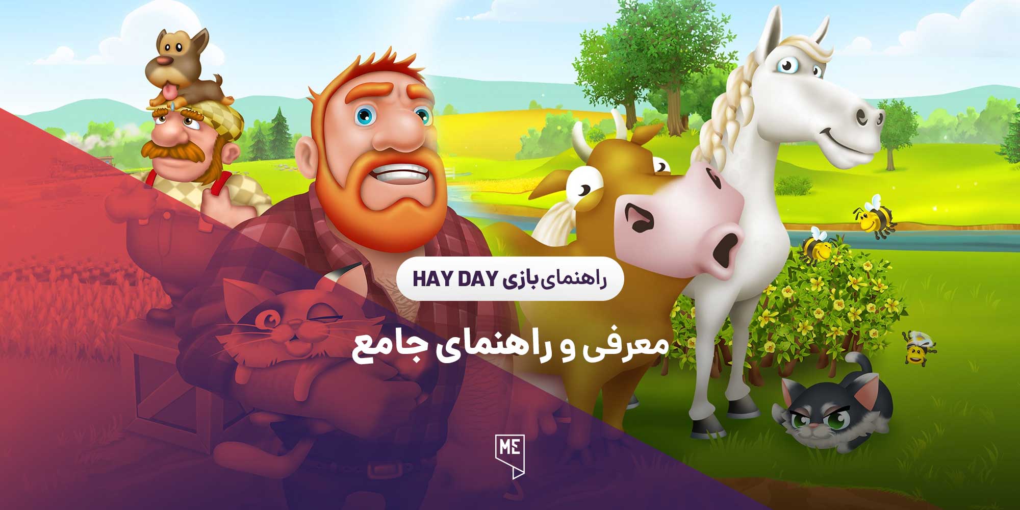 معرفی و راهنمای جامع بازی Hay Day