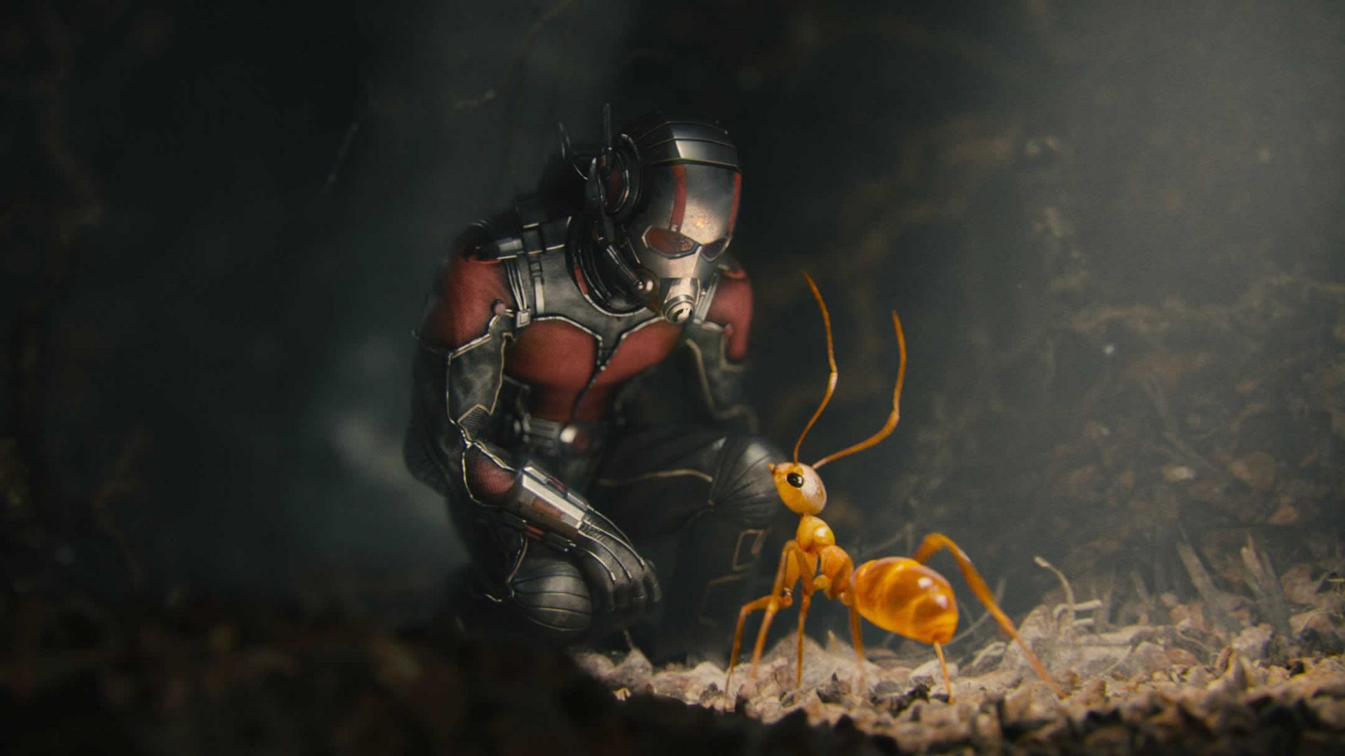 مرگ انت من در فیلم Ant-Man 3