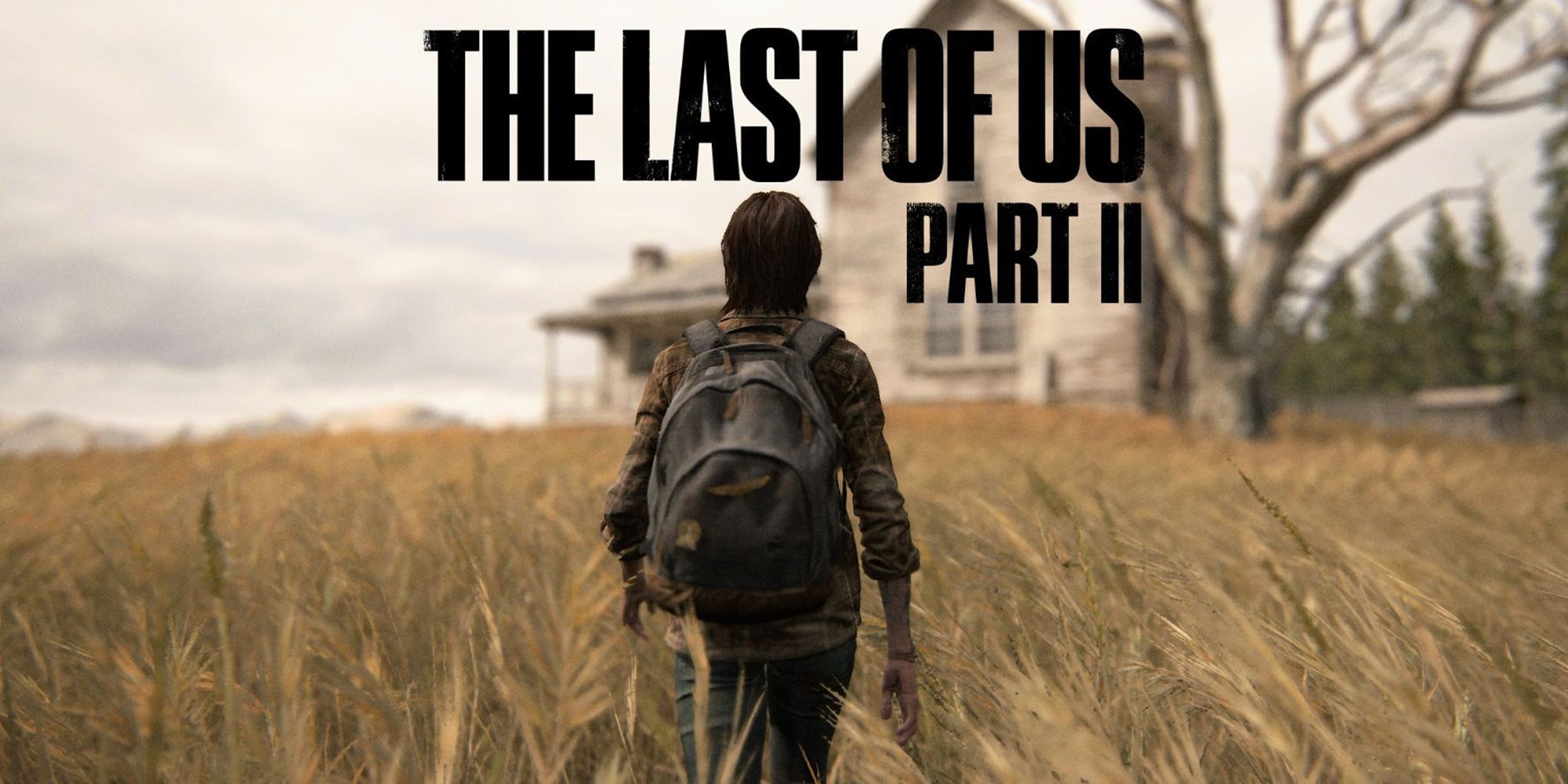 مجموعه بازی The Last of Us