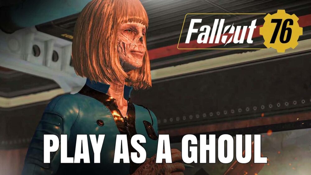 پلیرهای Fallout 76