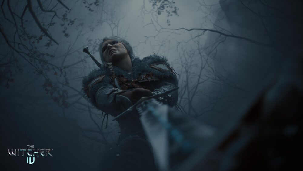 سیری The Witcher 4