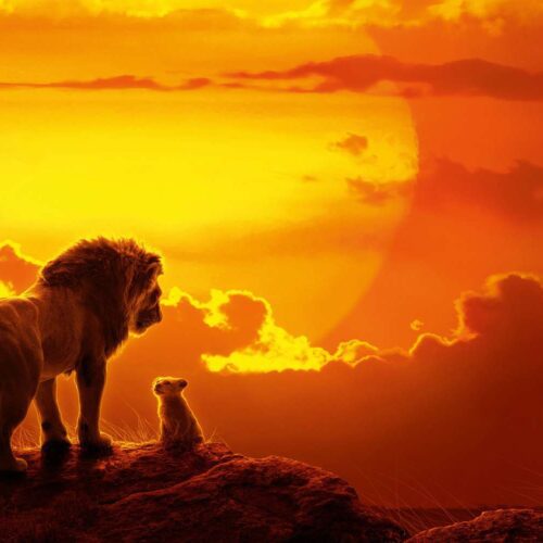 آیا دیزنی با لایو اکشن Mufasa قادر به فتح گیشه‌ها خواهد بود؟