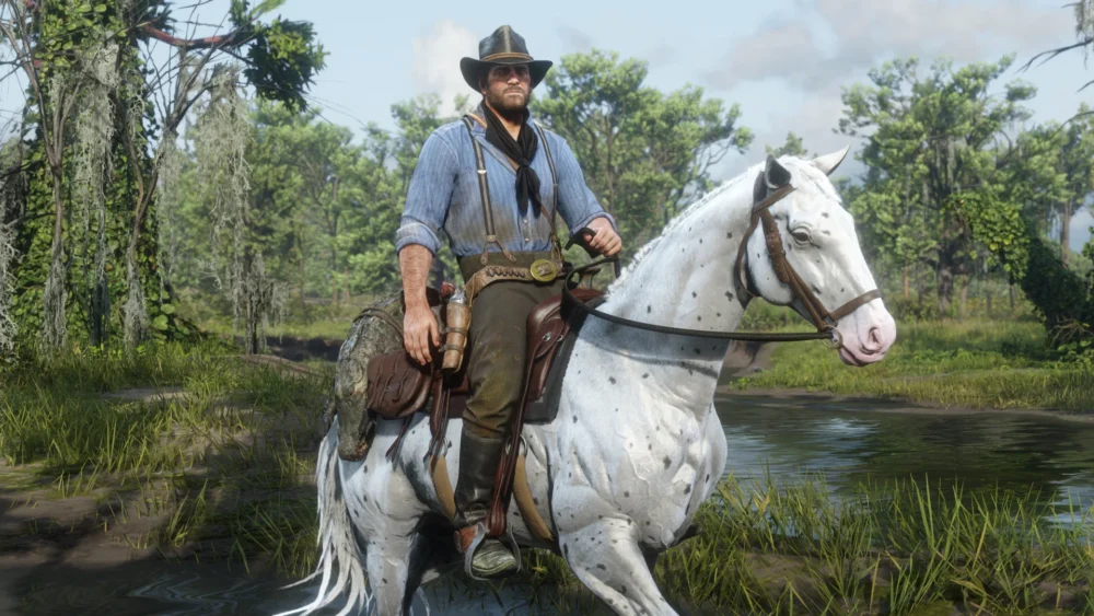 بازی Red Dead Redemption 2 سوییچ 2